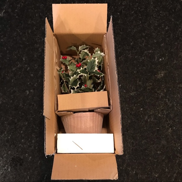 New Pottery Barn Faux Potted Holly, Holiday Plant - Picture 12 of 13